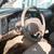 1999 Toyota Tacoma SR5 4X4 Extended Cab 4 Cyl. 5-Speed 11 thumbnail