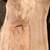 American Beech, Slabmized 4 thumbnail