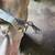1995 Suzuki Quadrunner 250 parts 8 thumbnail