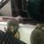 Chinchillas 4 thumbnail