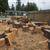 Cutting wood 14 thumbnail