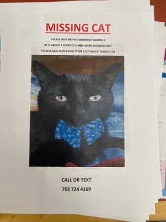 Missing cat 1