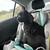 Female Cane Corso puppy 2 thumbnail