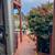 2ba W&D in unit + yard + parking -- Sunset Charmer 20 thumbnail