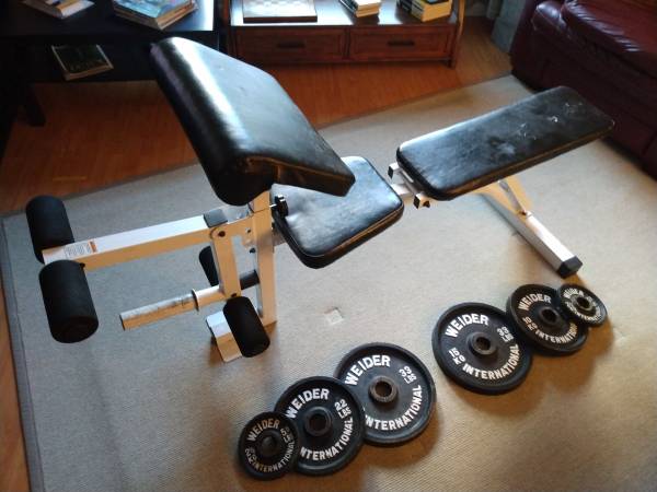 Weights and Bench for sale 1