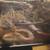 Corn snake and mice 1 thumbnail