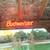 Budweiser 2 thumbnail
