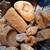 Fossils, Llanite, Artifacts 8 thumbnail