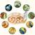 18  Egg Incubator  NEW IN BOX 2 thumbnail