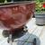 Weber Rare color Charcoal Grill 18.5”  Brown 6 thumbnail