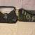 Purses (4 total) 1 thumbnail