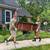 Next-Day, In-Home Donation Pickups & Junk Removal | Call 202-978-5783 5 thumbnail
