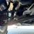 RHD Right Hand Drive - 1999 Honda CRV AWD - EagleCars.com 22 thumbnail