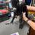 Nigerian Dwarf Goats Does, Doelings, Bucks and and Retired 12 thumbnail