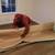 JUNK +CARPET +INSULATION REMOVAL__HOARDER +FECES +FLOOD +MOLD CLEAN 3 thumbnail