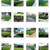 🔴ARTIFICIAL GRASS INSTALLATION CONTRACTOR, SYNTHETIC TURF LAWN YARD 2 thumbnail