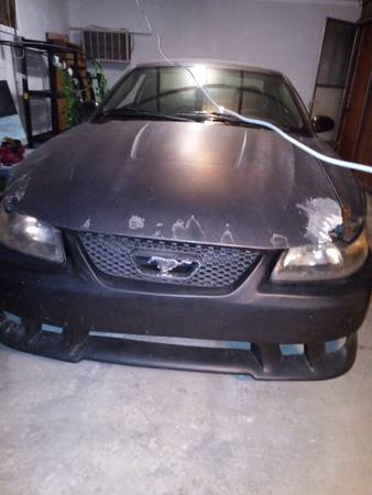 2003 Mustang Coupe 1