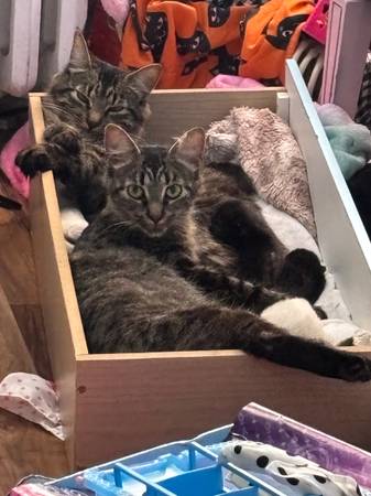 Bonded pair64579666057219121