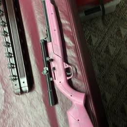 Crossman BB & Pellet Rifle 1