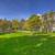 Controlled Access/Gated, Billiard Room, Controlled Access 2 thumbnail