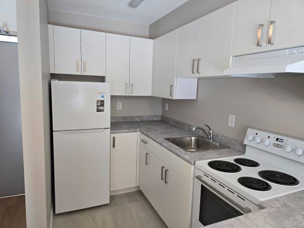 STUDIO APARTMENT 355 HOLDOM AVENUE - BURNABY 1