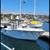 Thresher 22' Boat 2020 Mercury 200hp 4 Stroke OB 4 thumbnail