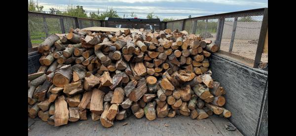 Fire wood / almond 1