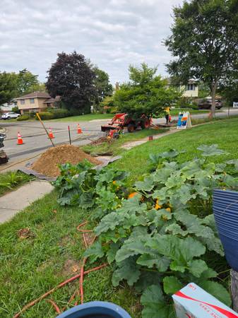 house share female w female beautiful furnished safe everything includ 1