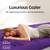 CHILLSUN Queen Air Mattress with Built in Pump (13''in) 7 thumbnail