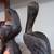 Solid Wood Eagle & Pelican Statues 1 thumbnail