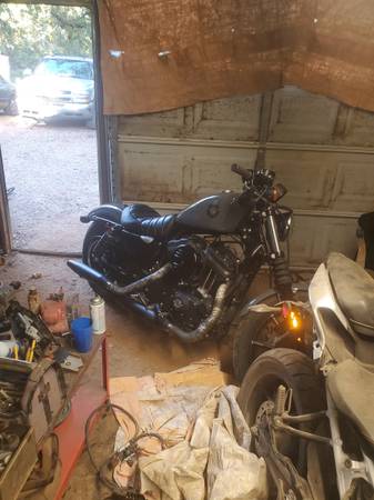 2022 harley 883 sportster 1