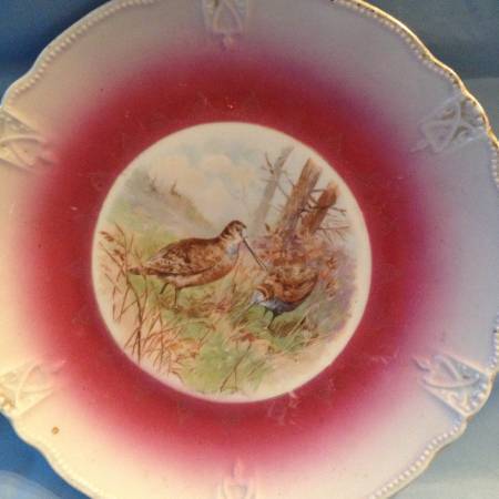 German birds plate 1