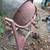 Sears cement mixer 2 thumbnail