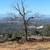 80 Acres Near Lake Oroville 12 thumbnail