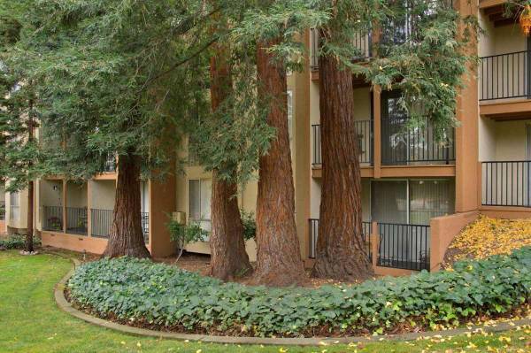 $3,398 / 2br - 974ft2 - Fully Equipped Kitchens, Wide Variety of Floor Plans, Onsite Bark Park (walnut creek)63695896609155122