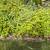 DV LANDSCAPING 3 thumbnail