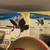 24 “ CEILING FANS WITH LIGHTS , NEW IN BOX 1 thumbnail