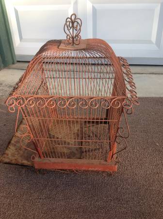 Bird Cage 1