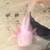 Baby Axolotl’s in Corvallis 5 thumbnail