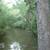 Stunning Clifftop Building Site: Sweeping Vistas of River & Forest 5 thumbnail