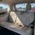2017 Chrysler Pacifica 14 thumbnail