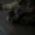 Yorkie- poo 1 thumbnail