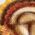 Better Homes Thanksgiving Turkey Platter Heritage Collection 13.25” 7 thumbnail