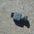 Porsche 914 Parts 14 thumbnail
