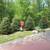 EVERGREEN SCREENING. HEDGES, PRICACY WALLS ETC 6 thumbnail