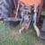 37 HP KUBOTA L3750 Diesel Tractor POWER STEERING 12 thumbnail