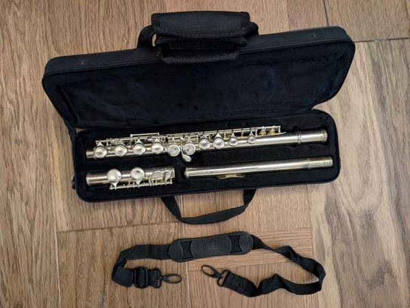 Beginner Flute 1