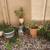 FREE outdood fake and real plants plus a storage bin 3 thumbnail