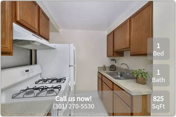 $1,399 / 1br - 825ft2 - Don't wait! This spacious 1 bed, 1 bath will go fast! 825 Sq Ft! (Silver Spring - Close to Silver Spring Metro)63896507694979121