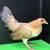 Italian Mini Leghorn Bantam Chicken 4 thumbnail